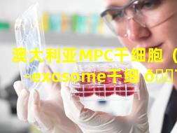 澳大利亚MPC干细胞（msc-exosome干细 🐯 胞）